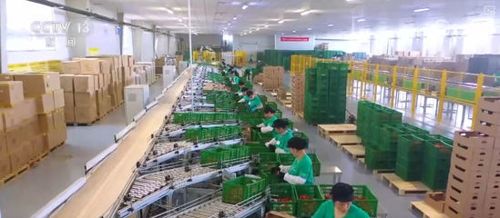 100億、10億、8.7萬億!鄉村特色產業領域拓寬 發展韌性強