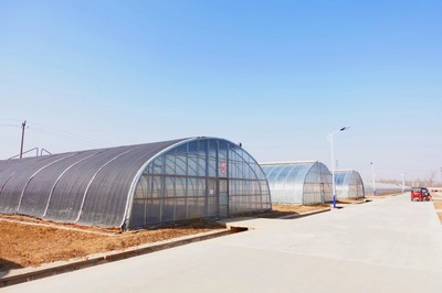 物美植物工廠首次公布數(shù)字化未來農(nóng)業(yè)或成發(fā)展趨勢