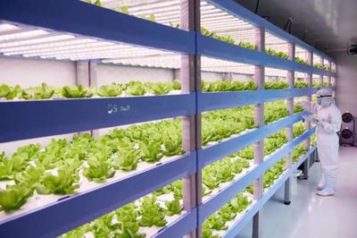 農(nóng)業(yè)新商業(yè):植物工廠+康養(yǎng)農(nóng)業(yè)